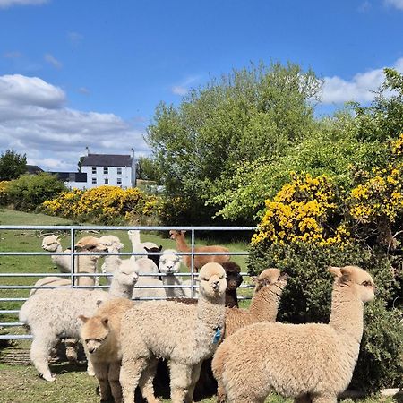 The Alpaca Farmhouse With Hot Tub And Alpaca Experience Included Dromara ภายนอก รูปภาพ