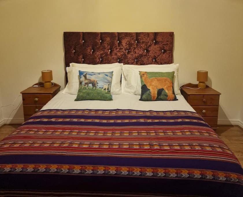 The Alpaca Farmhouse With Hot Tub And Alpaca Experience Included Dromara ภายนอก รูปภาพ