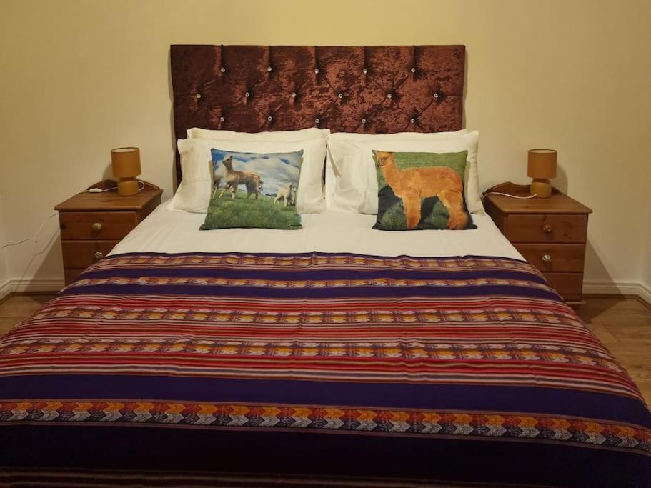 The Alpaca Farmhouse With Hot Tub And Alpaca Experience Included Dromara ภายนอก รูปภาพ