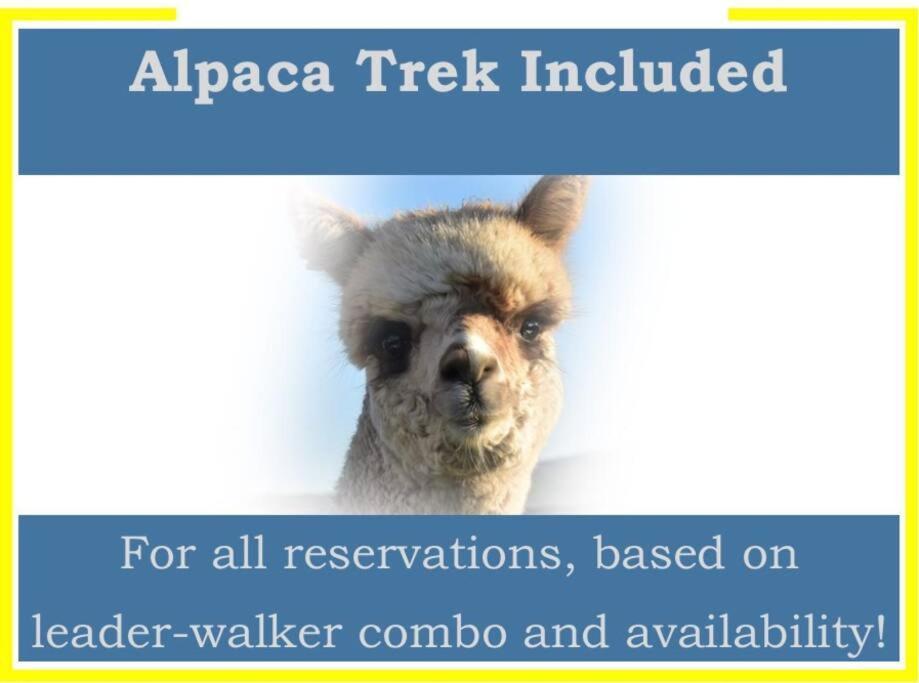 The Alpaca Farmhouse With Hot Tub And Alpaca Experience Included Dromara ภายนอก รูปภาพ